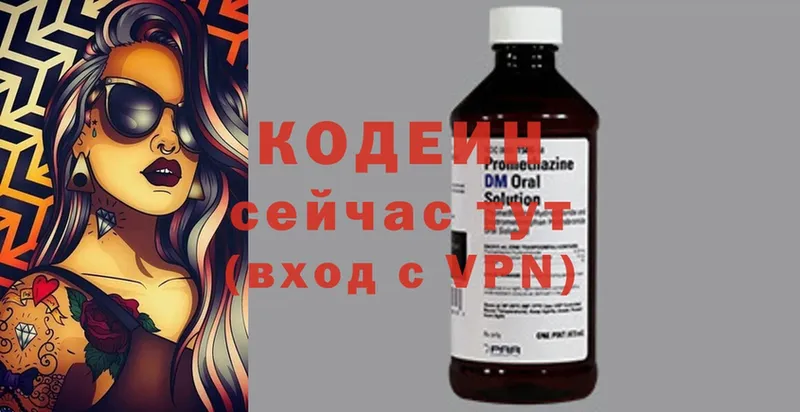 Кодеиновый сироп Lean Purple Drank  где купить наркоту  Петропавловск-Камчатский 