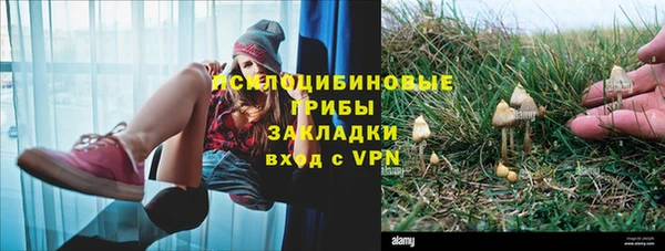 твердый Кулебаки