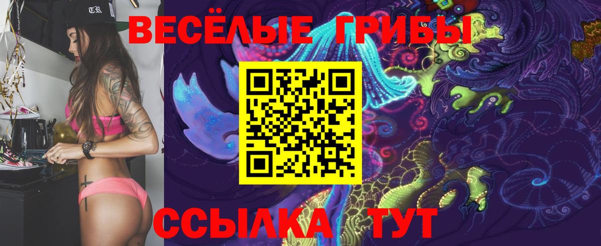 Псилоцибиновые грибы Psilocybine cubensis Петропавловск-Камчатский