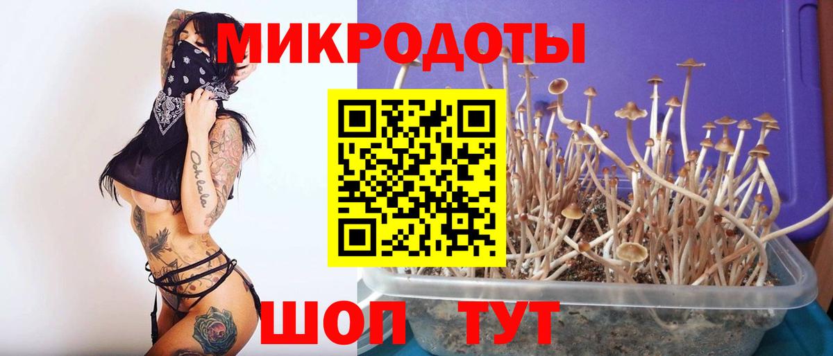 Псилоцибиновые грибы ЛСД  Вход с VPN  Петропавловск-Камчатский 