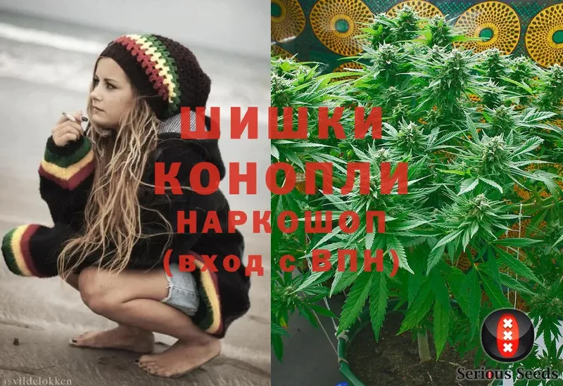 Шишки марихуана OG Kush  Петропавловск-Камчатский 